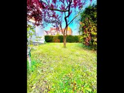 Photo n°14