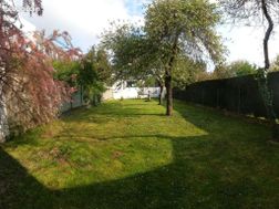 Photo n°3