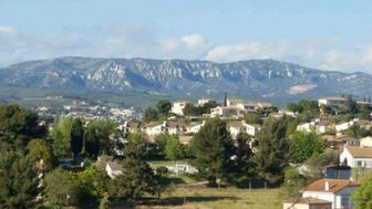 Photo n°6