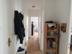 Photo n°2