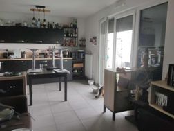 Photo n°4