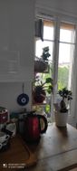 Photo n°6