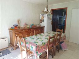 Photo n°8