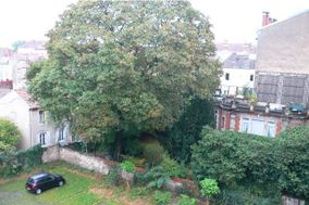 Photo n°3