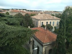 Photo n°5