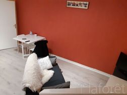 Photo n°3