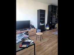 Photo n°6