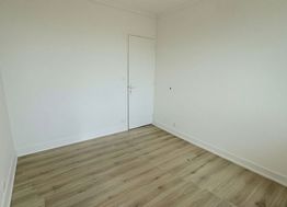 Photo n°6