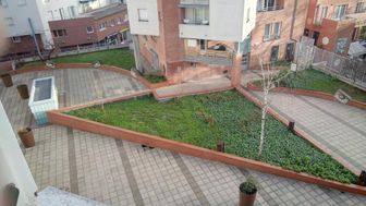 Photo n°2