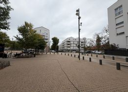 Photo n°8