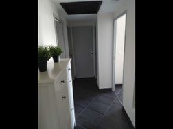 Photo n°4