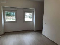 Photo n°4