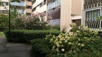 Photo n°2