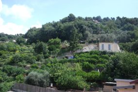 Photo n°3