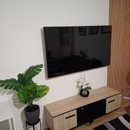 Photo n°1