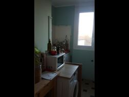Photo n°6