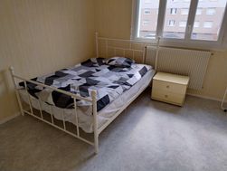 Photo n°3