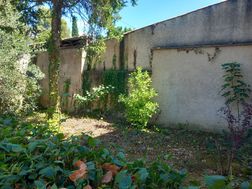 Photo n°6
