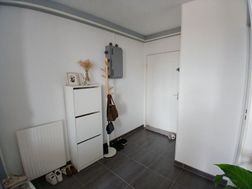 Photo n°4