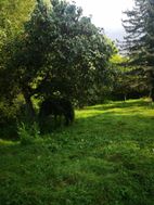 Photo n°8