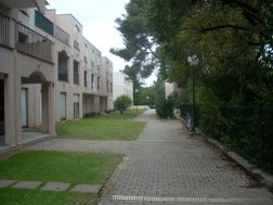 Photo n°3