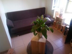 Photo n°1