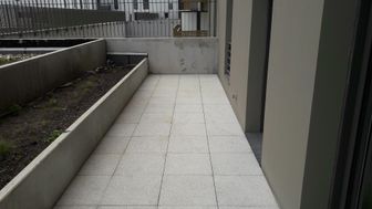 Photo n°6