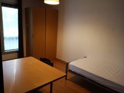 Photo n°2