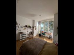 Photo n°3