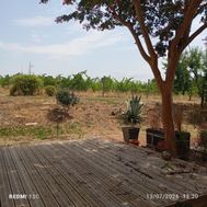 Photo n°3
