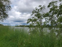 Photo n°3