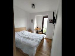Photo n°6