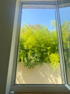 Photo n°3