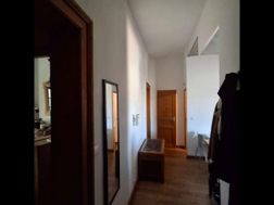 Photo n°4
