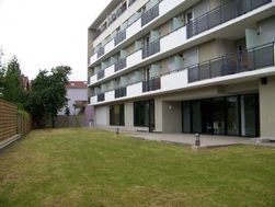 Photo n°4
