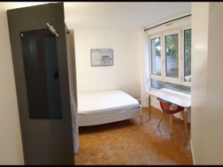 Photo n°6