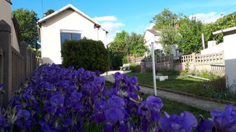 Photo n°2