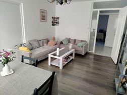 Photo n°2