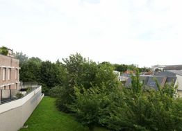 Photo n°8