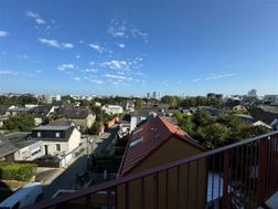 Photo n°6