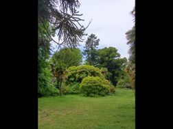 Photo n°6