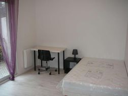 Photo n°3