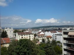Photo n°8