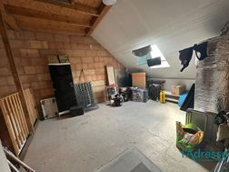 Photo n°12