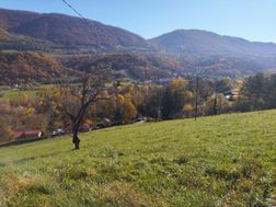 Photo n°15
