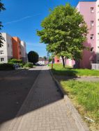 Photo n°3