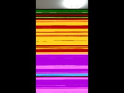 Photo n°10