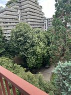 Photo n°1