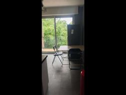 Photo n°4