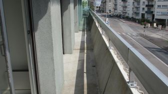 Photo n°6